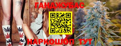 jwh Будённовск