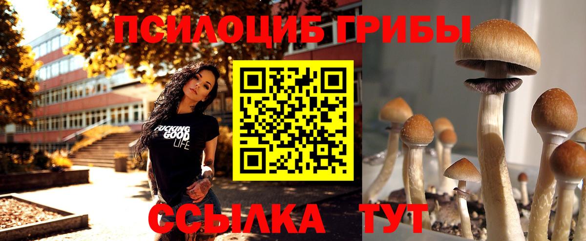 Лысьва  Псилоцибиновые грибы ЛСД  Вход с VPN 